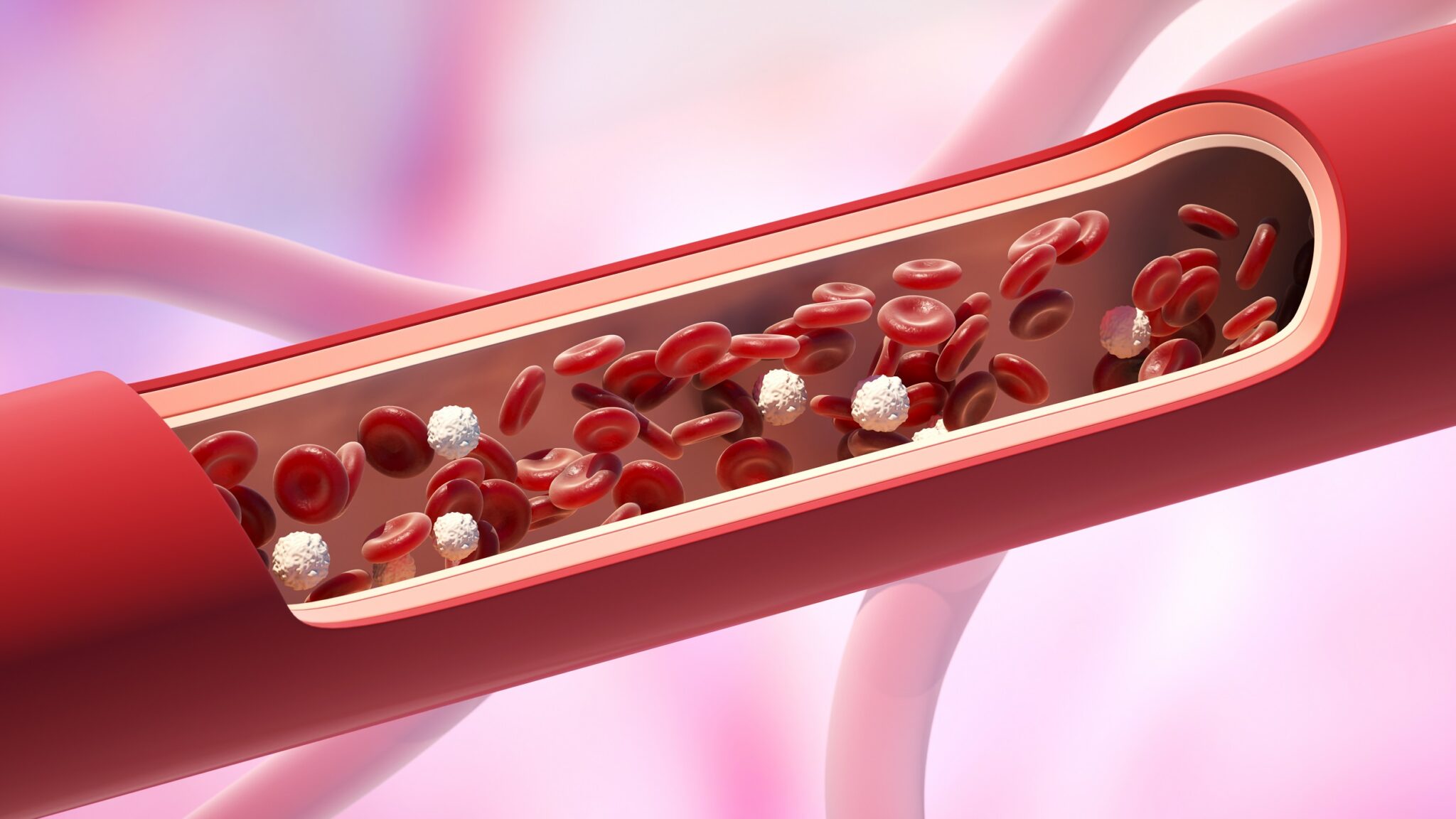 Does Coronary Heart Disease Run In Families